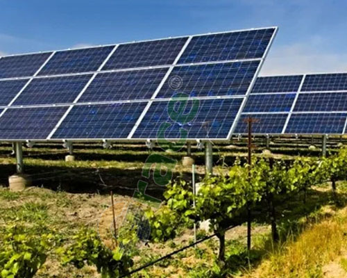 Transparent Solar Panels for Greenhouses